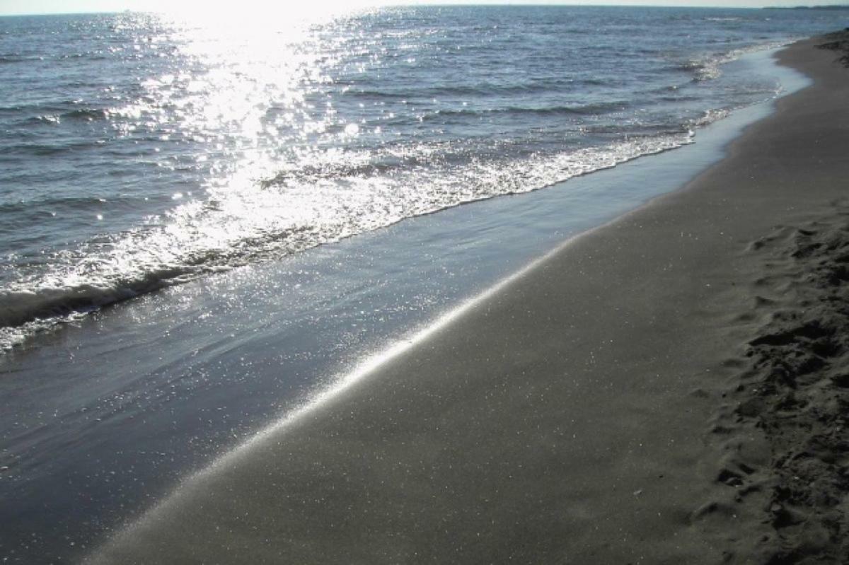 Violetta Ξενοδοχείο Λίντο ντι Όστια Εξωτερικό φωτογραφία